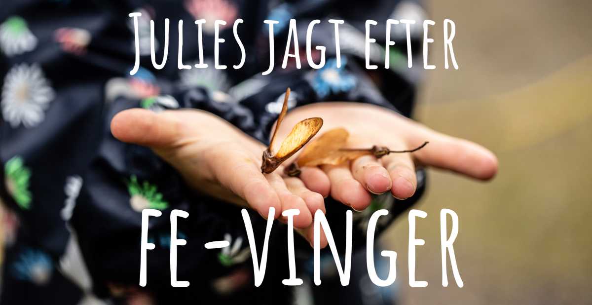 Ud i regnen og find fe-vinger