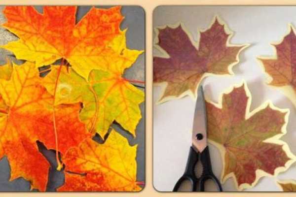 Efterårsblade, blade, laminering, kreative ideer, kreativ med ungerne