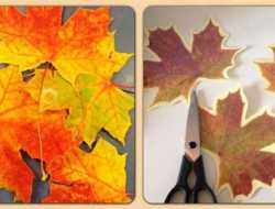 Efterårsblade, blade, laminering, kreative ideer, kreativ med ungerne